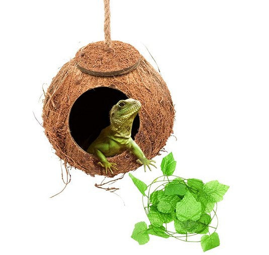 The Ultimate Reptile Swing Experience