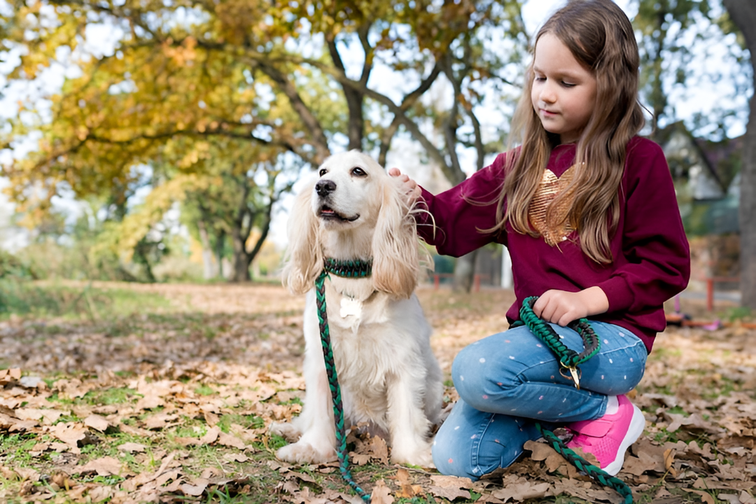 Choosing the Perfect Pet Leash for Your Companion