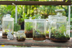 Fish Accessories and Supplies for a Thriving Aquarium