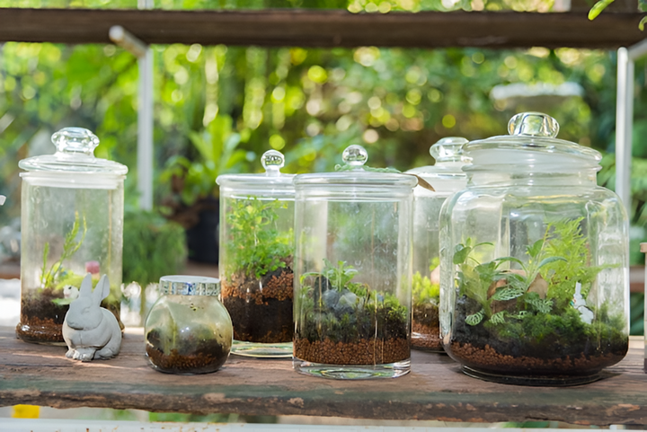Fish Accessories and Supplies for a Thriving Aquarium