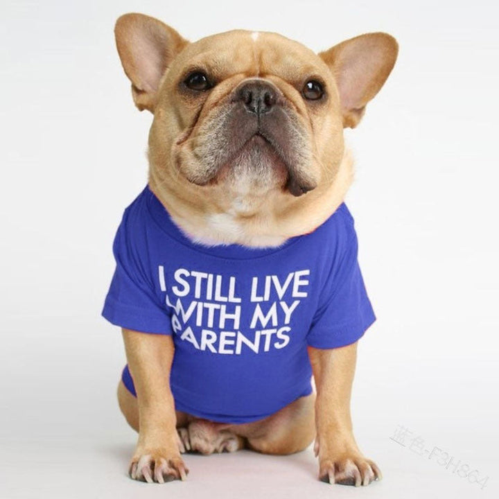 Pet Dog Letter T-shirt: The Perfect Blend of Style and Comfort
