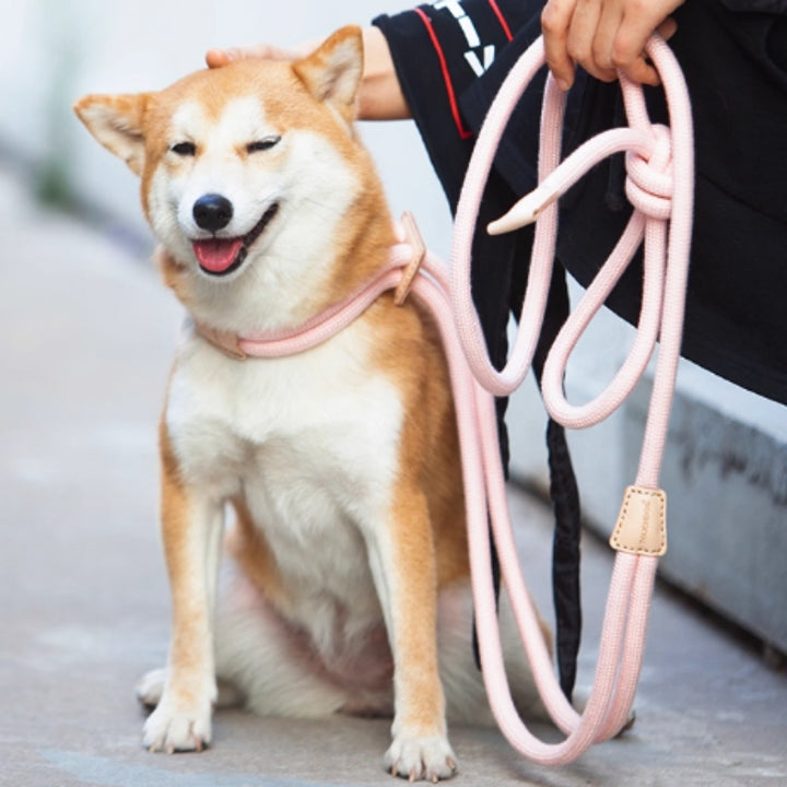 Pet Multi-functional Chest Harness Anti-Burst Leash