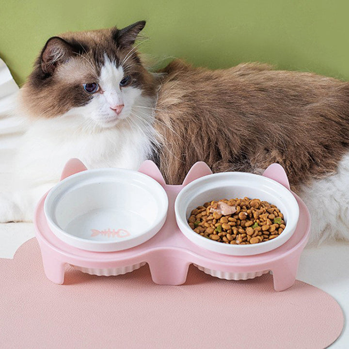 Cat Bowl Ceramic Double Bowl Water