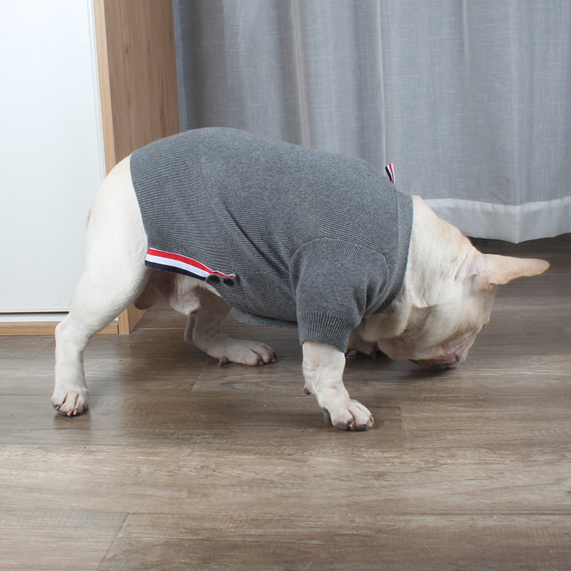 Bulldog British Bucket Corgi Cat Sweater