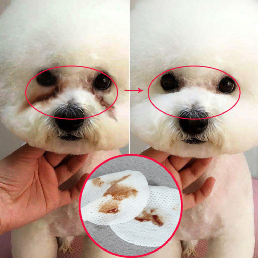 Pet Eye Grooming Wipes Dog Cat Eyes