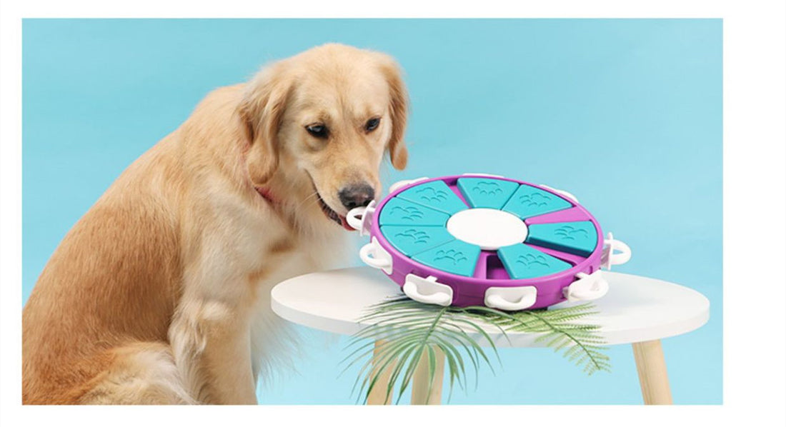 Interactive Puppy Dog Food Dispenser
