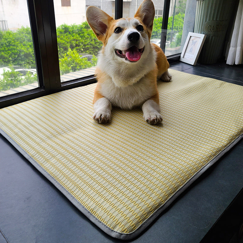 Non Stick Hair Ice Mat Dog Mat