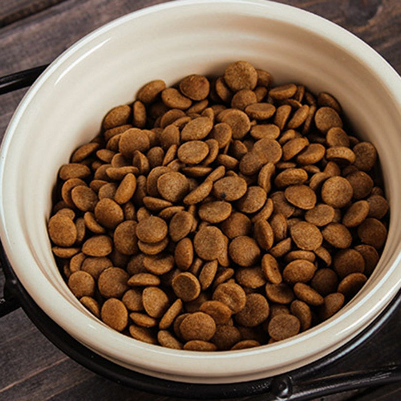 Iron Shelf Bowl Pet Ceramic Water Bowl