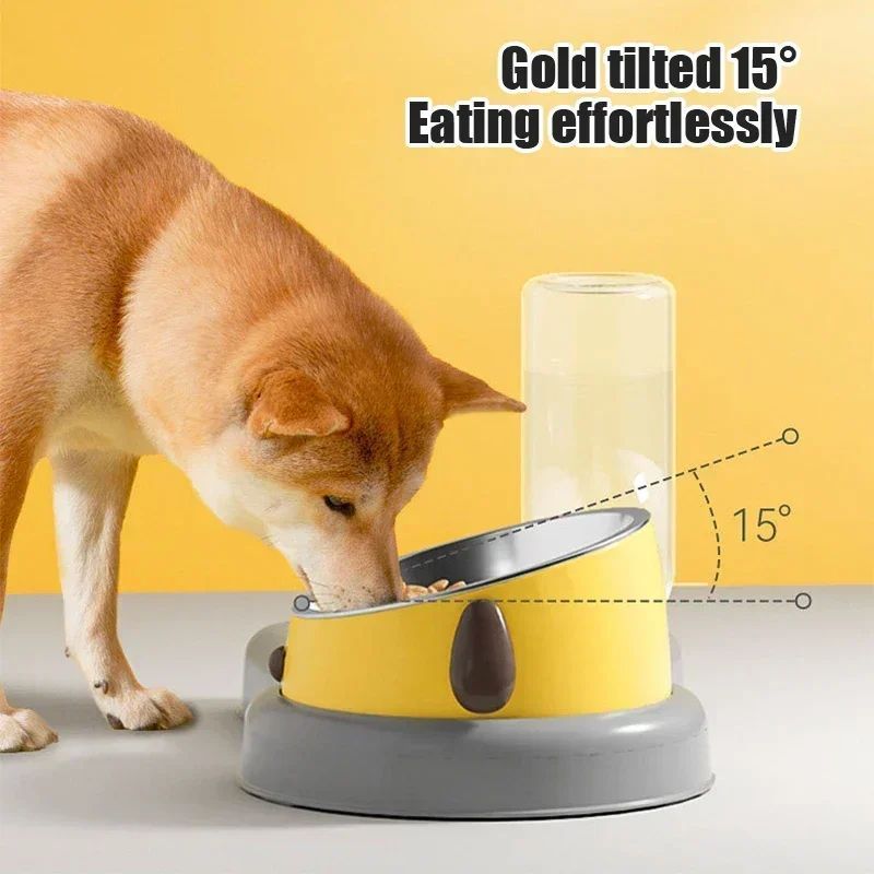 Pet Feeding Bowls And Drinkers 15-Degree Tilt Design
