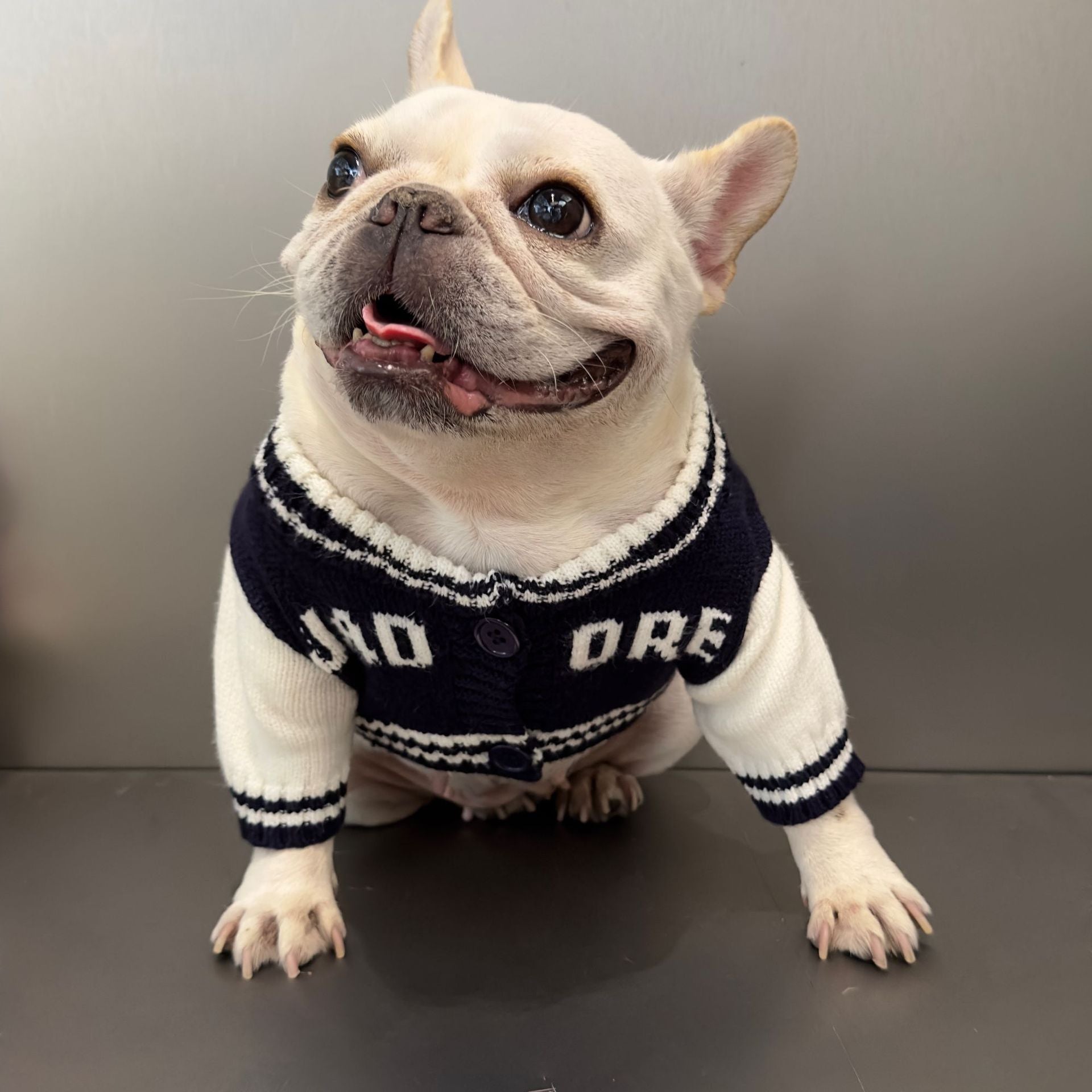 Rainbow Bear Pet Sweater