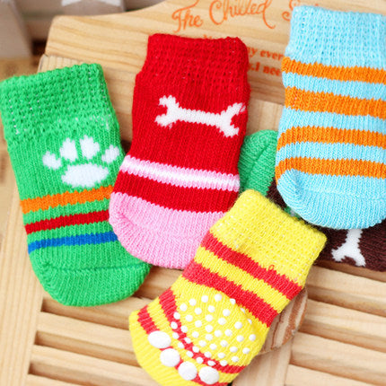 The dog socks