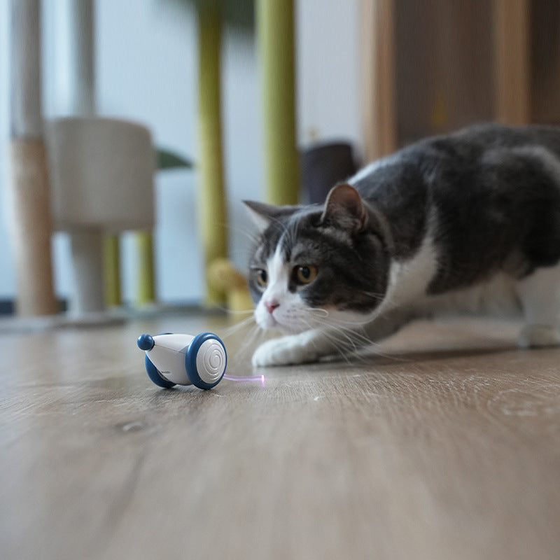 Cat Toy Boredom Artifact Automatic Intelligent