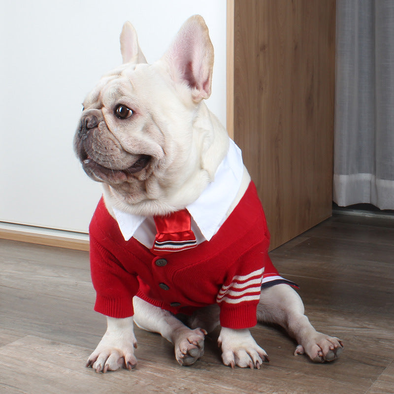 Bulldog British Bucket Corgi Cat Sweater