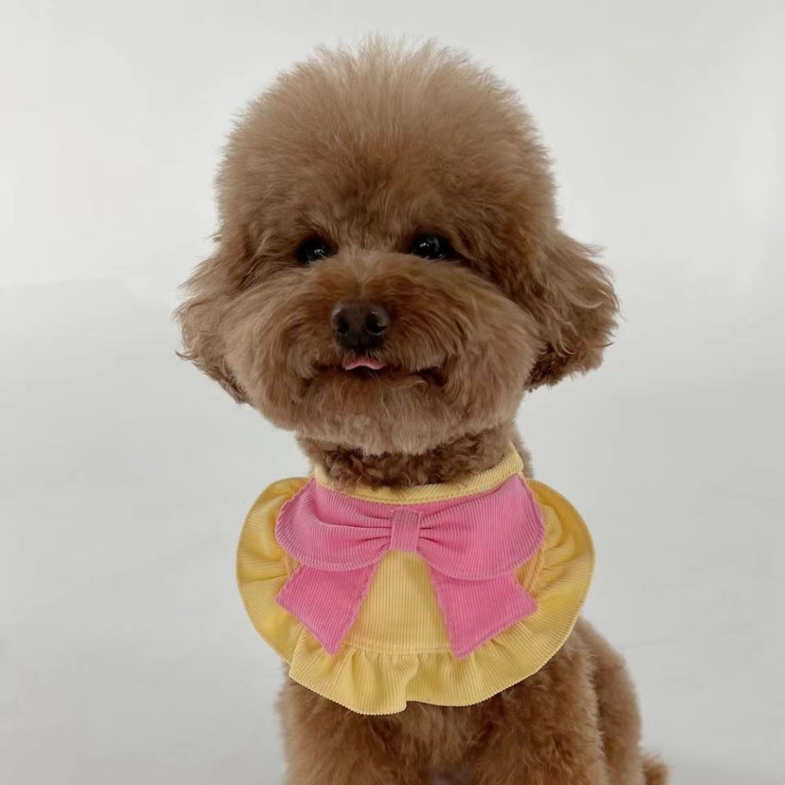 Cute Butterfly Dog Bib Pet