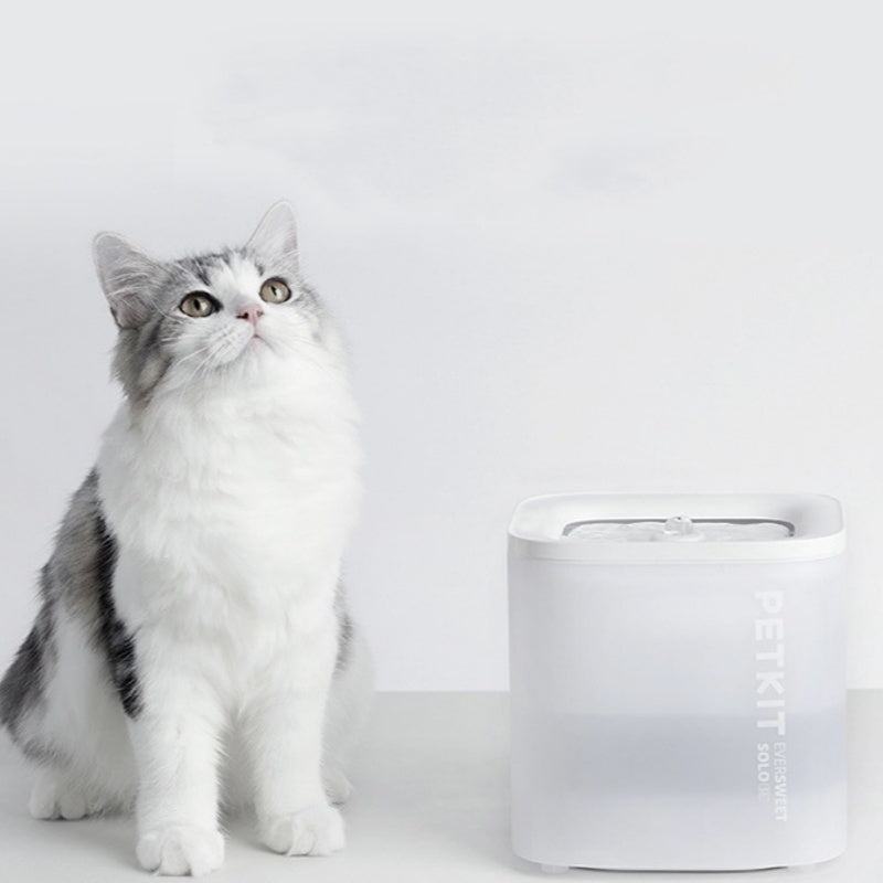 Smart Pet Water Dispenser Wireless Loop