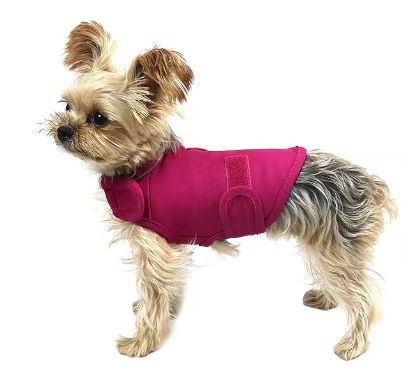Clothes For Dogs To Relieve Separation Anxiety