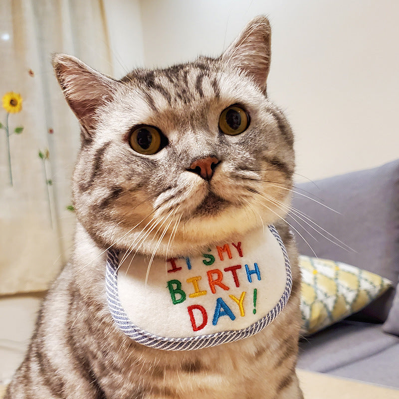 Pet Cat Bib Holiday Birthday Bib