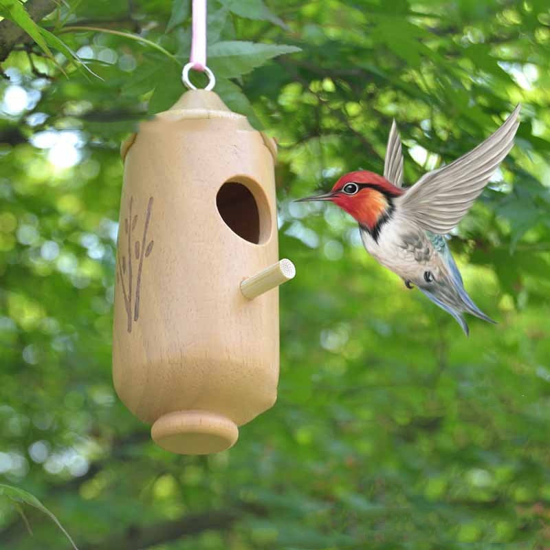 Hummingbird Hanging Swing Bird Nest