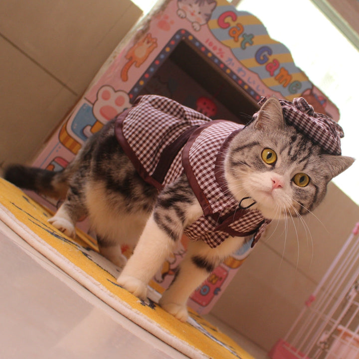 Detective Clothes Cloak Hat Suit