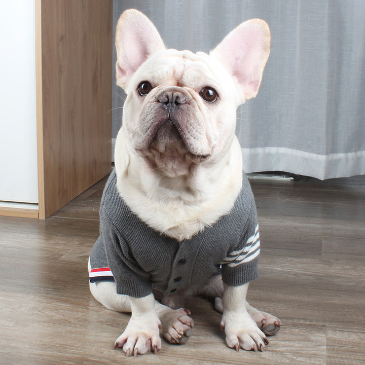 Bulldog British Bucket Corgi Cat Sweater