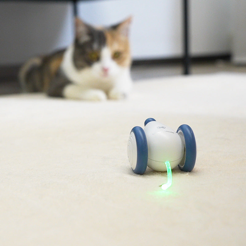 Cat Toy Boredom Artifact Automatic Intelligent