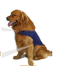 Clothes For Dogs To Relieve Separation Anxiety