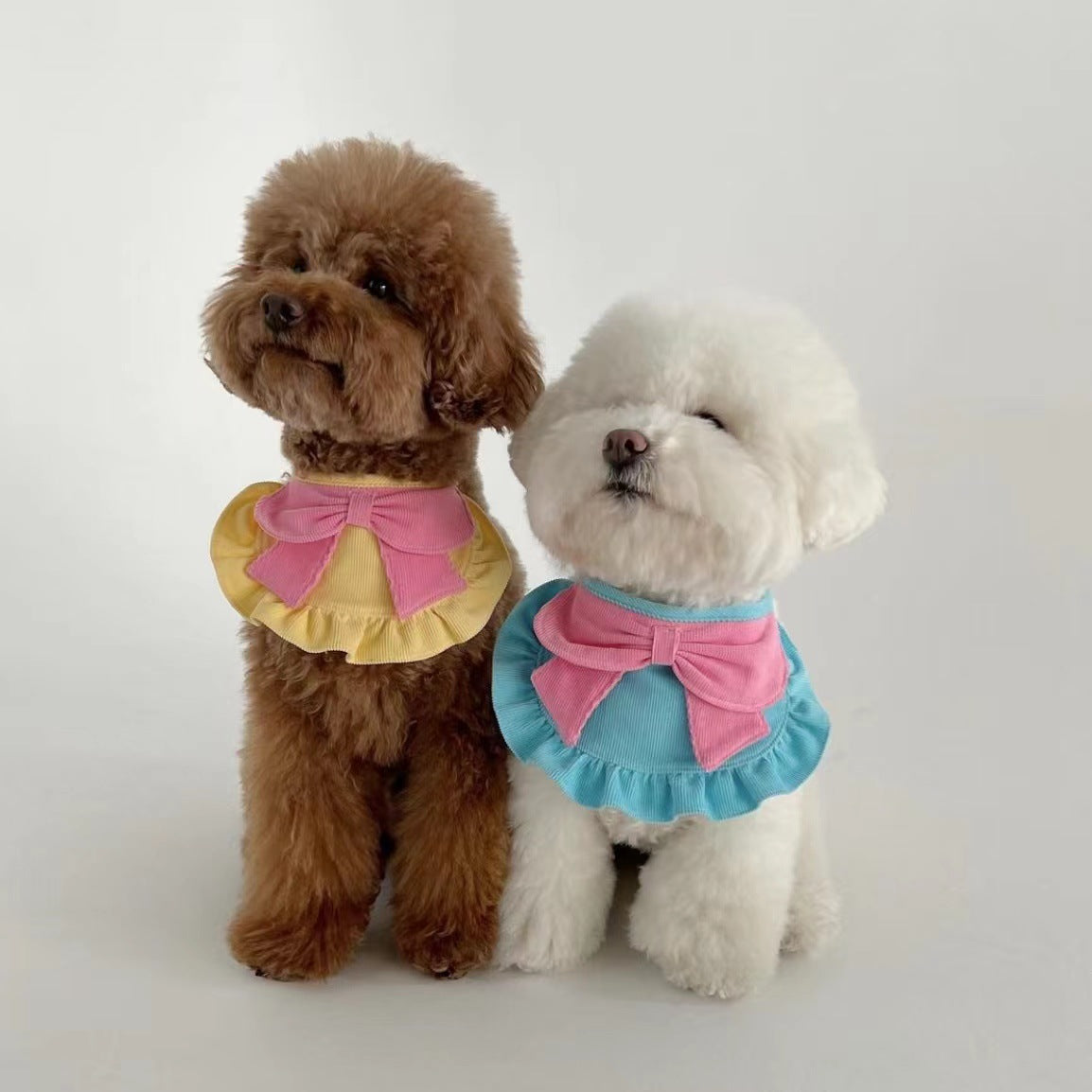 Cute Butterfly Dog Bib Pet