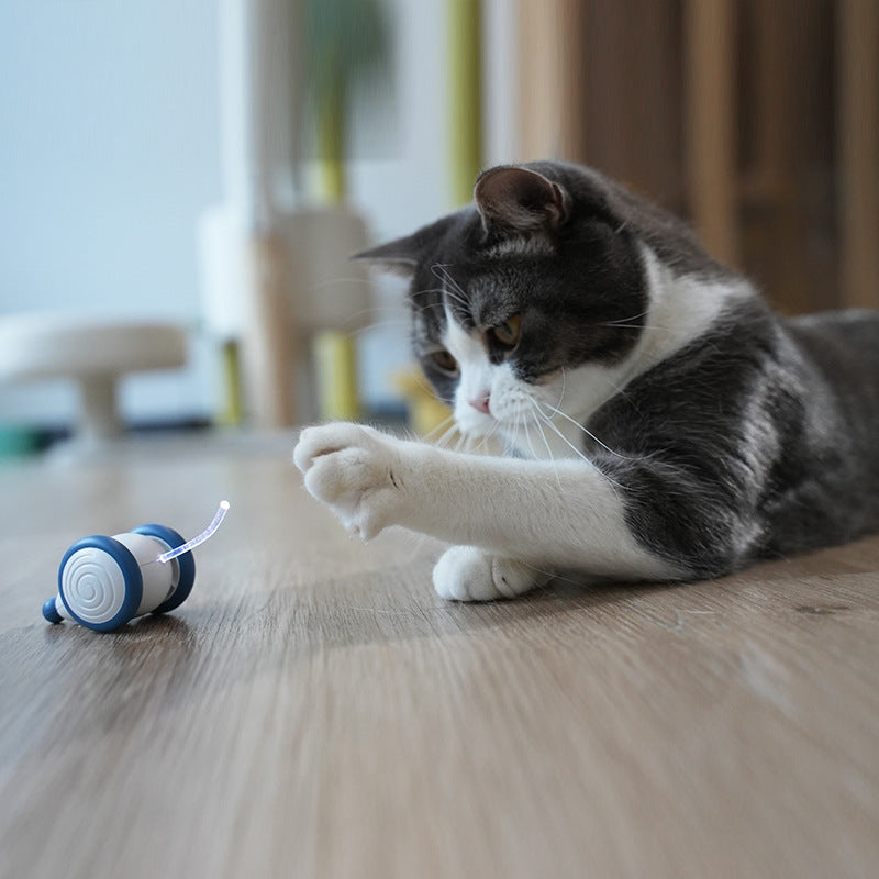 Cat Toy Boredom Artifact Automatic Intelligent
