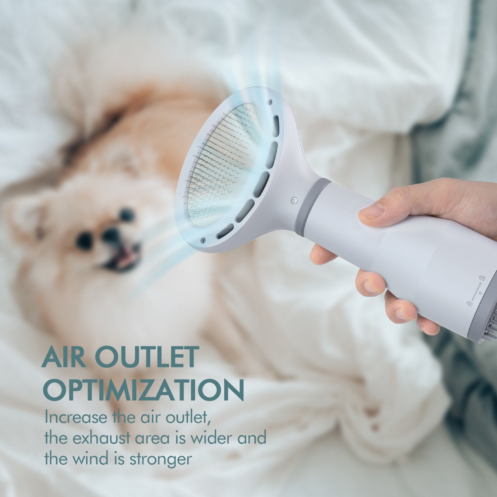 Dadypet Pet Dog Hair Dryer Grooming