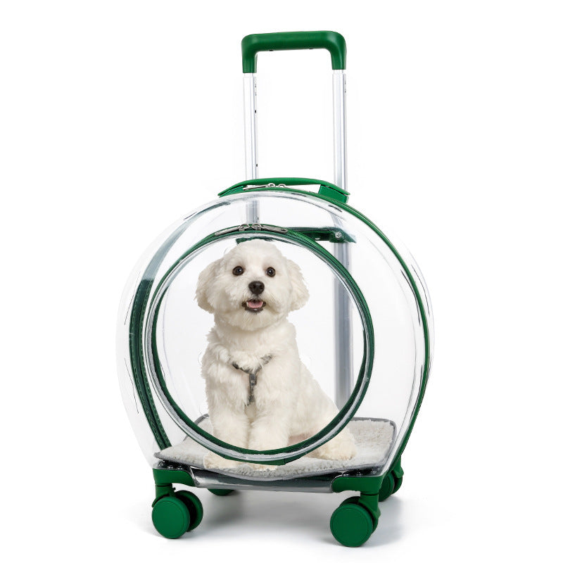 Transparent Trolley Bag Space Capsule