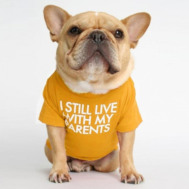 Fadou Turtleneck Round Neck T-shirt Pet Clothes