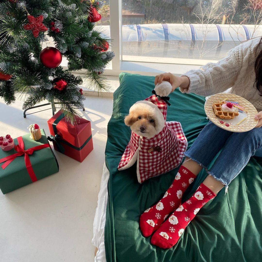 Korean Version Winter Pet Clothes