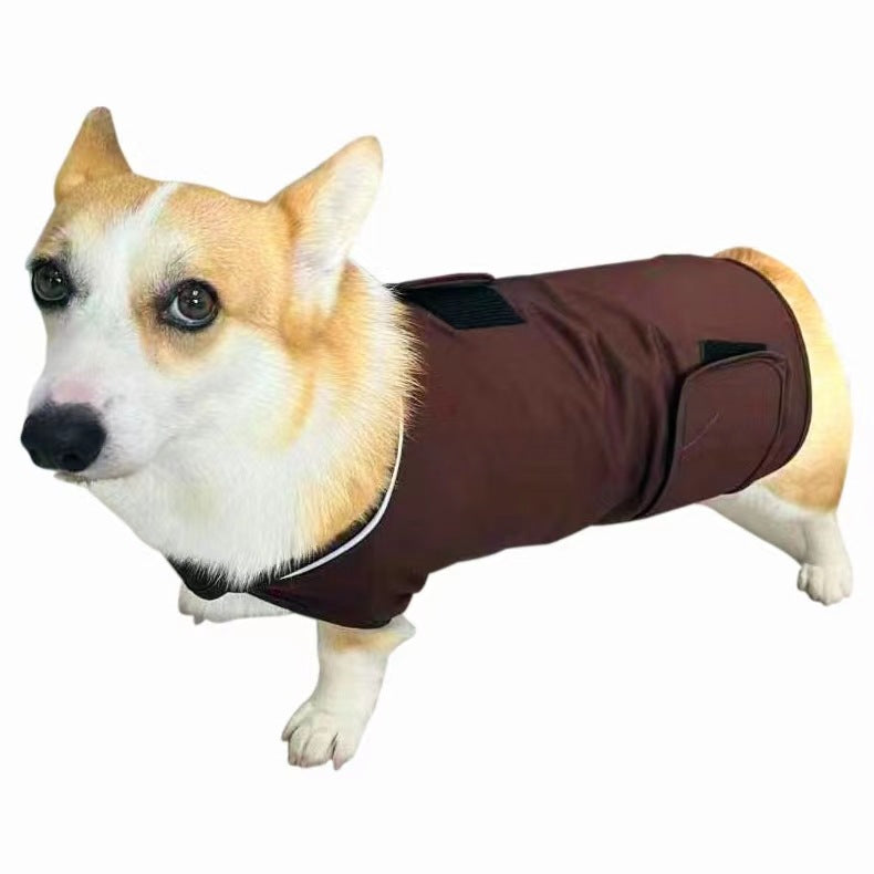 Clothes For Dogs To Relieve Separation Anxiety