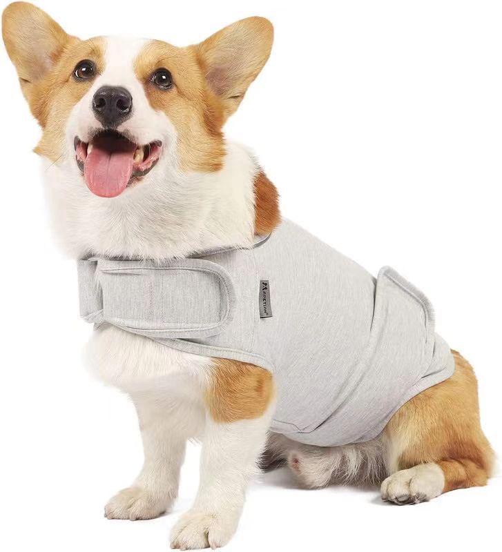 Clothes For Dogs To Relieve Separation Anxiety