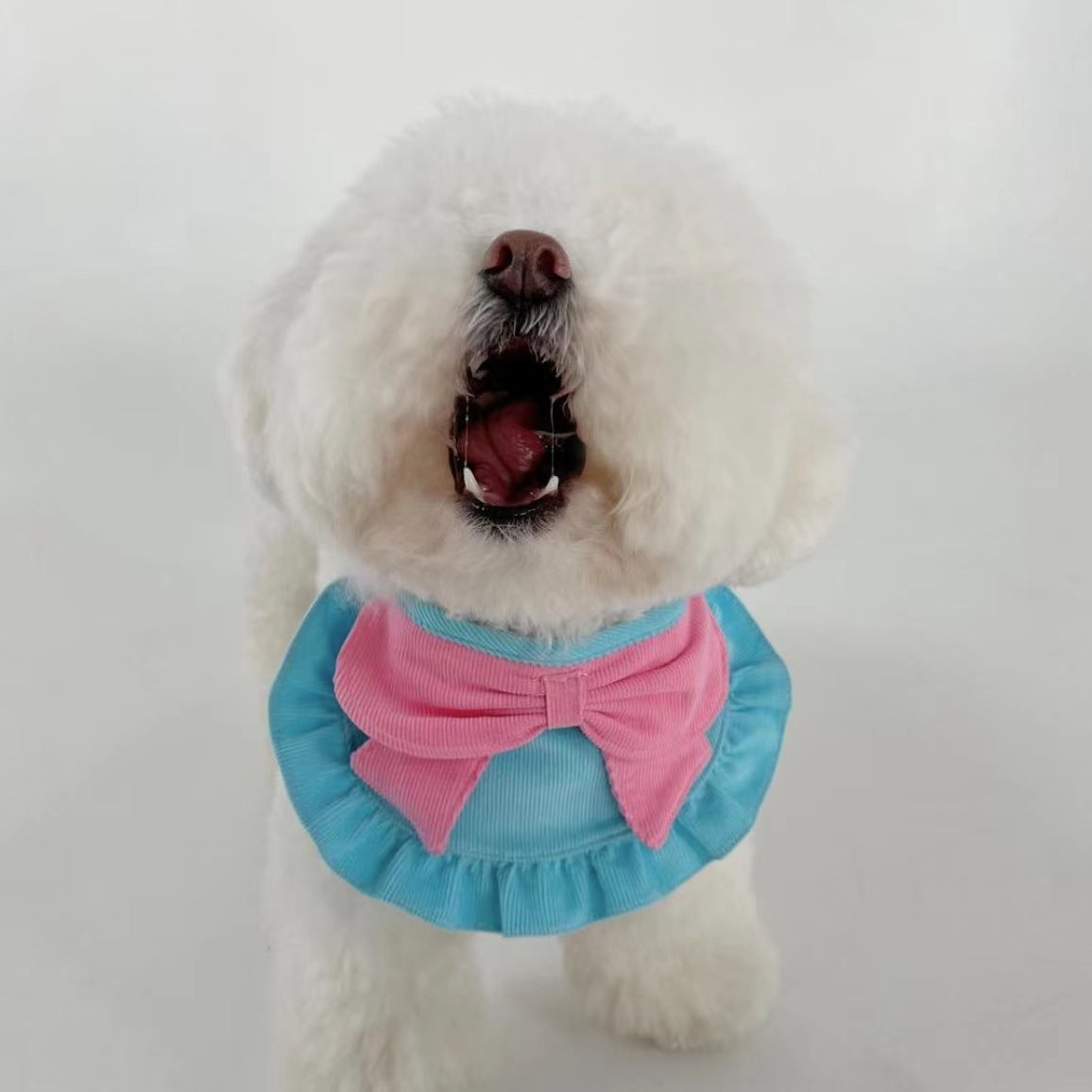 Cute Butterfly Dog Bib Pet