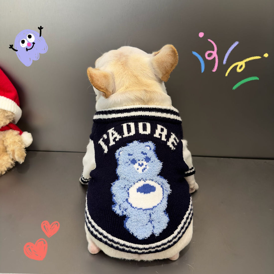Rainbow Bear Pet Sweater