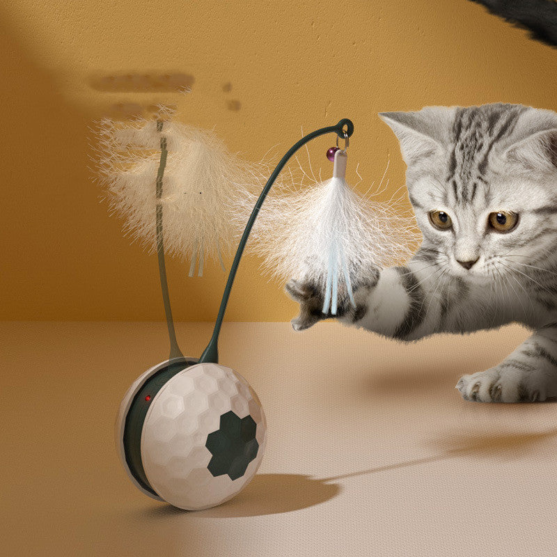 Intelligent Bite Resistant Cat Toys
