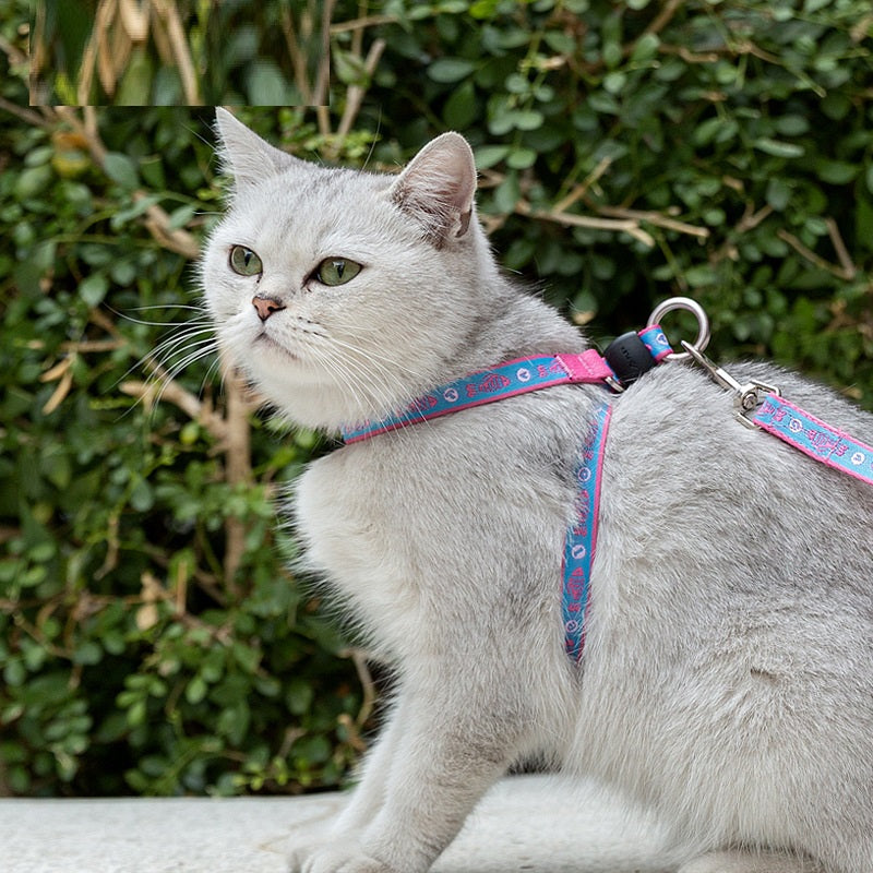 Pet Cat Bell Chest Strap Haulage