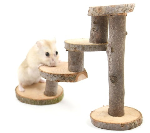 New Hamster Climbing Ladder Wood Chewing Toy