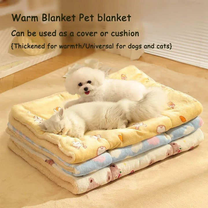 Blankets Ideal For Keeping Your Pet Warm