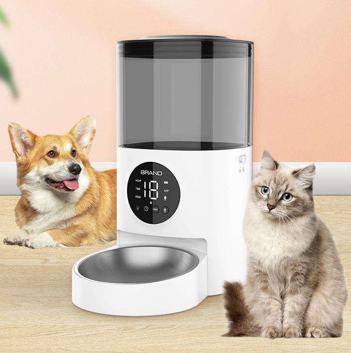 Automatic Feeding Machine For Cats
