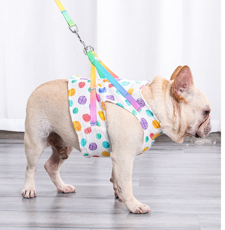 Pet Small Or Medium Sized Dog On A Chested Leash