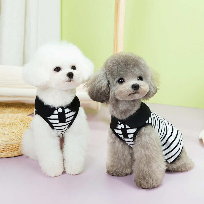 Pet Summer Stripes T-shirt Skirt