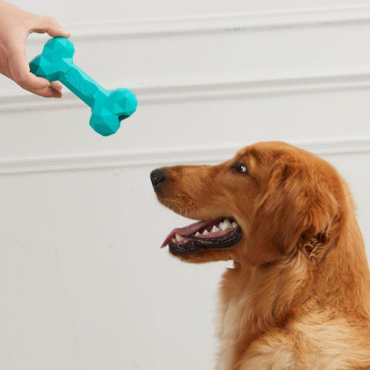 Teeth Grinding Bite Resistant Rubber Bone Toy