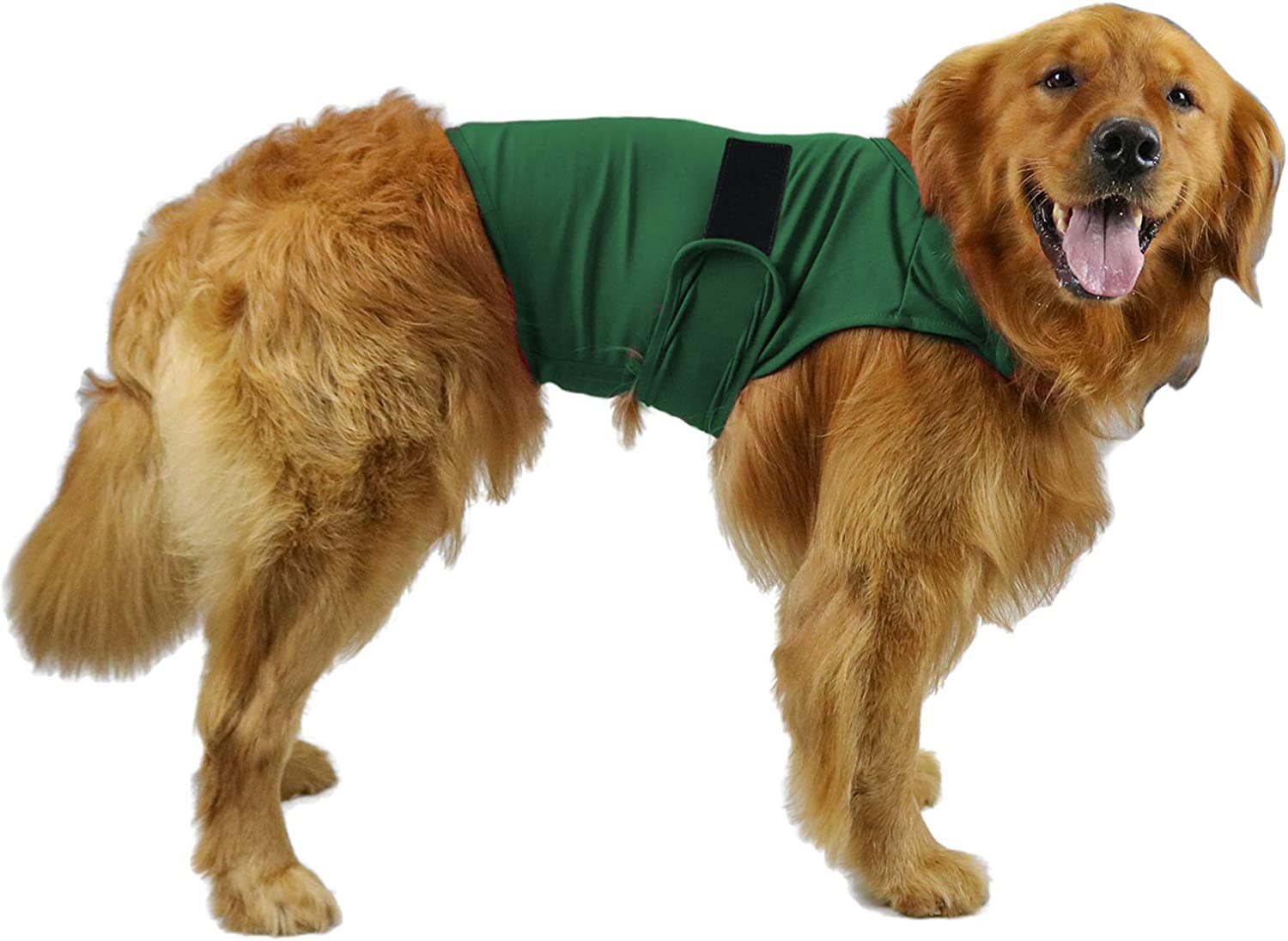 Clothes For Dogs To Relieve Separation Anxiety