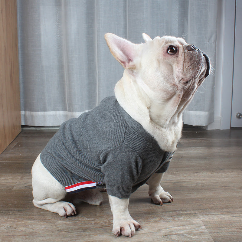 Bulldog British Bucket Corgi Cat Sweater