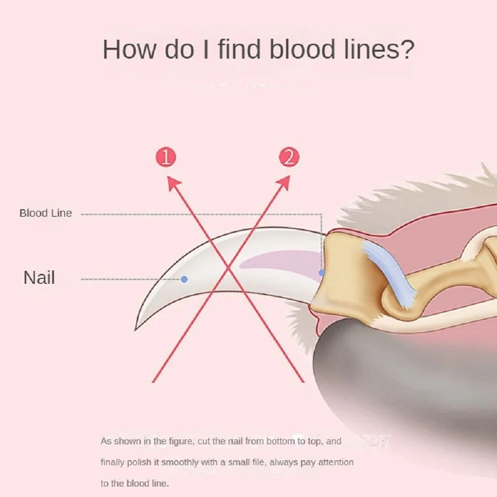 Hot Sales Professional Pet Nail Clipper