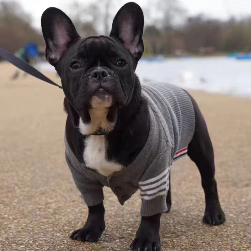 Bulldog British Bucket Corgi Cat Sweater