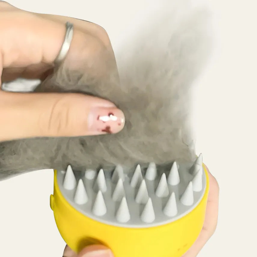 Cat Spray Comb Electric Massage Comb Hair Pet Spray