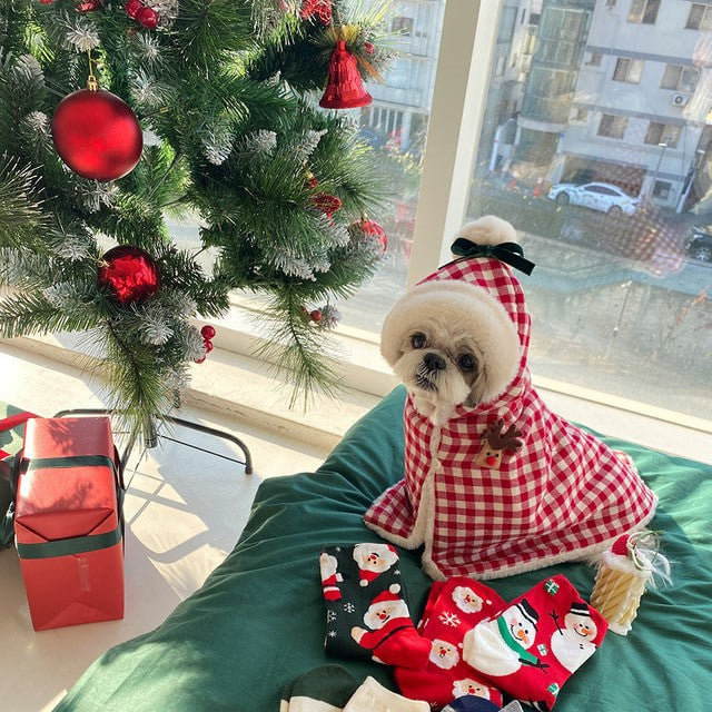 Korean Version Winter Pet Clothes